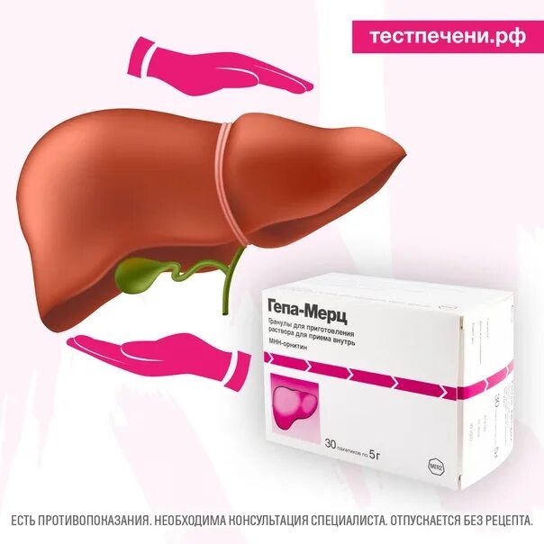 Гепатопротектор это что такое простыми. Гепатопротекторы. гепатопротекторы для печени. самый лучший гепатопротектор для печени. механизм действия гепатопротекторов.