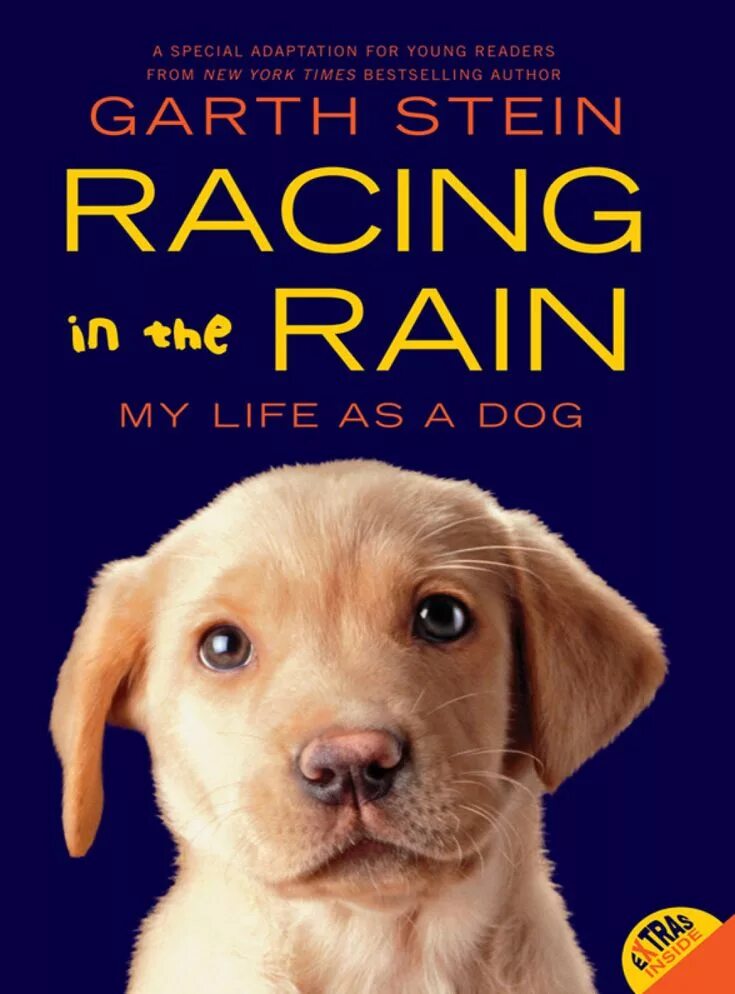 The Art of Racing in the Rain книга. Книга жизнь собаки. Книга про собаку Энцо.