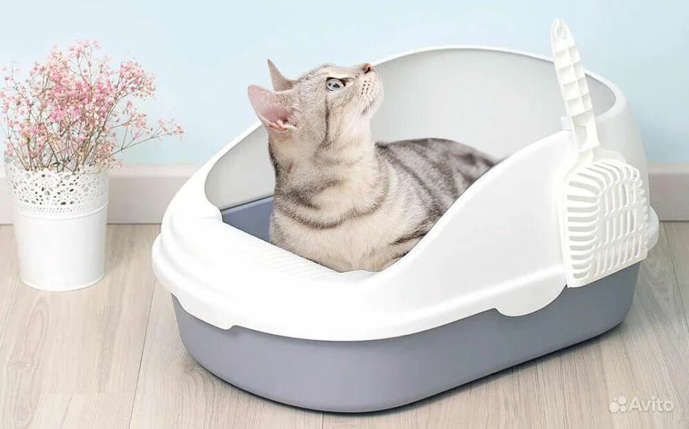 Лоток для кошек Xiaomi Semi-open Cat Litter. Кошачий туалет Xiaomi Semi-open Cat Litter. Туалет Xiaomi Semi-open Cat Litter для кошек White CN. Лоток Xiaomi Cat Litter Box. Какой лоток лучше для кошки