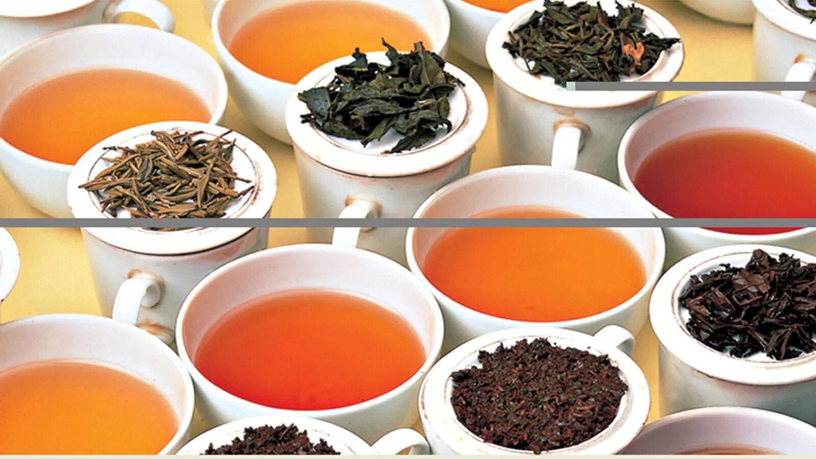 Чай сорта и виды. Разные чаи. Разновидности чая. Разные сорта чая. Чай на развес.