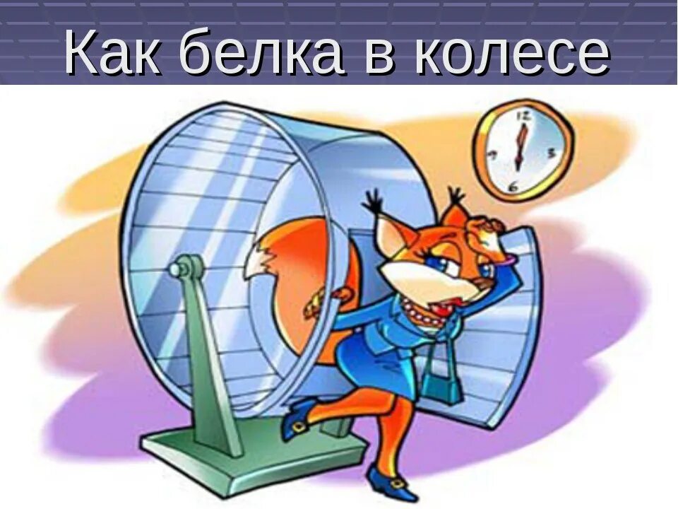 Что значит как белка в колесе. Белка. белка в колесе. как белка в колесе фразеологизм. как белка в колесе картинки.