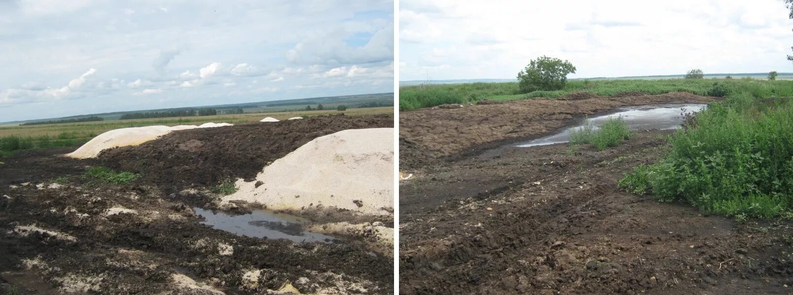 Земельный участок. Земли сельскохозяйственного назначения. Земли сельскохозяйственного назначения могут быть. Сельскохозяйственные земли. Земли сельскохозяйственного назначения могут быть.