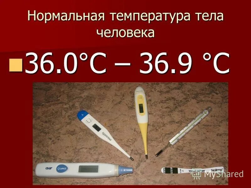 Температура тела 36 у взрослого причины. Нормальная температура тела. Нормальная температура человека. Нормальные показатели температуры у взрослого. Норма температуры человеческого тела.