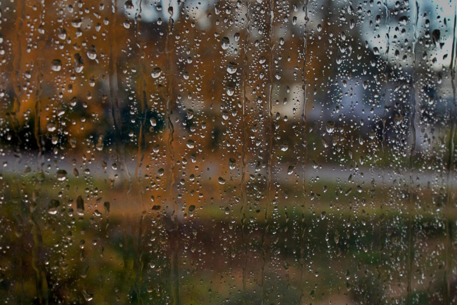 Самый дождливый месяц лета. Дождь за окном. Дождливая осень. Осень дождь. Осень дождь за окном.