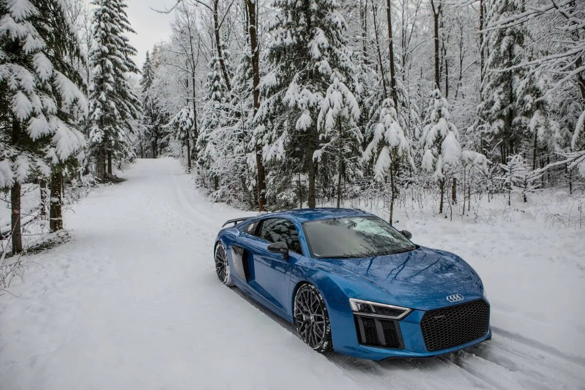 Машина снежка. Audi r8 RS. Ауди RS 5 зима. Ауди р8 в лесу. Audi rs5 зимой.