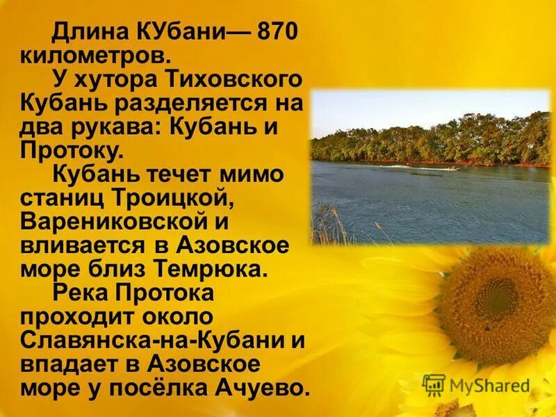 Твои земляки труженики кубановедение 3. Длина Кубани. Кубань: 870. Протока (рукав Кубани) бассейн Кубани. Полость на Кубани длина.