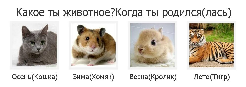 Тест какое ты животные. Тест какое вы животное. Тест какое животное. Какое ты животное. Психологический тест животные.