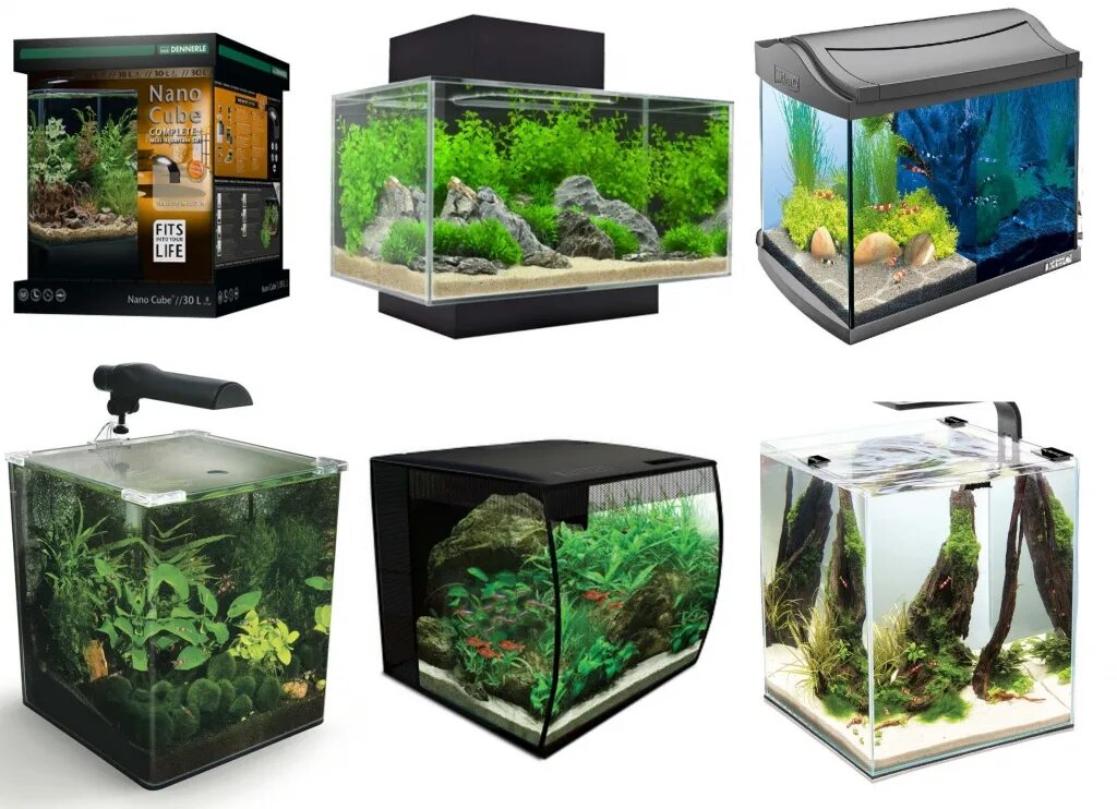 Магазин аквариум на жукова в воронеже. Магазин аквариум чита сайт. Арована магазин аквариумных товаров воронеж. Аквариум "архангельск". Арована аквариумный магазин воронеж.