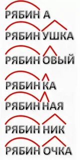 Падеж слова рябине