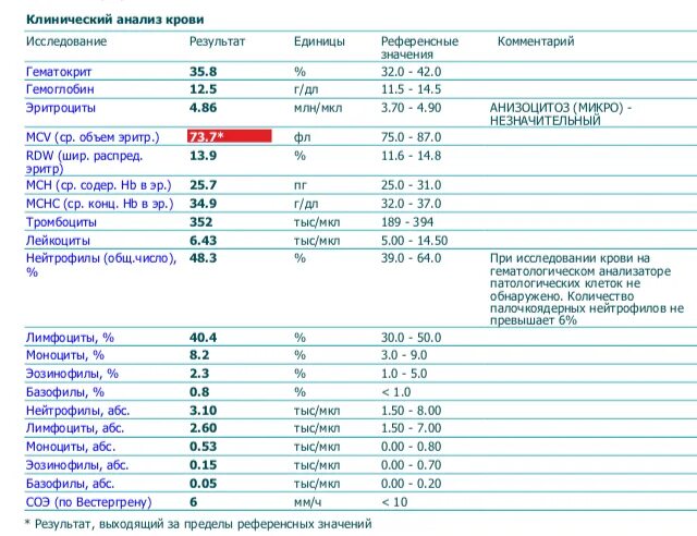 Эозинофилы в анализе крови. Клинический анализ крови эозинофилы. Эозинофилы в анализе крови обозначение. Эозинофилы в общем анализе крови. Эозинофилы сдать анализ