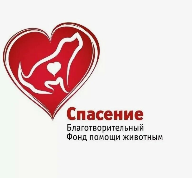 Благотворительный фонд милосердие. Благотворительный фонд милосердие. Блоготворительный фонд. Благотворительный фонд будем милосердны. Благотворительный фонд милосердие.