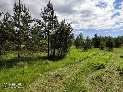 Поселок красноозерное ленинградская область