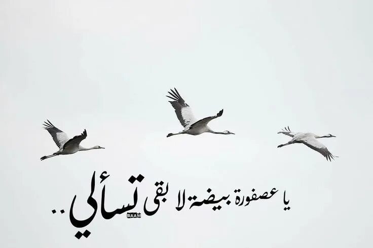 Терпи душа моя. Душа моя на арабском. Терпи душа моя на арабском. Душа на арабском. Терпи душа моя на арабском языке.