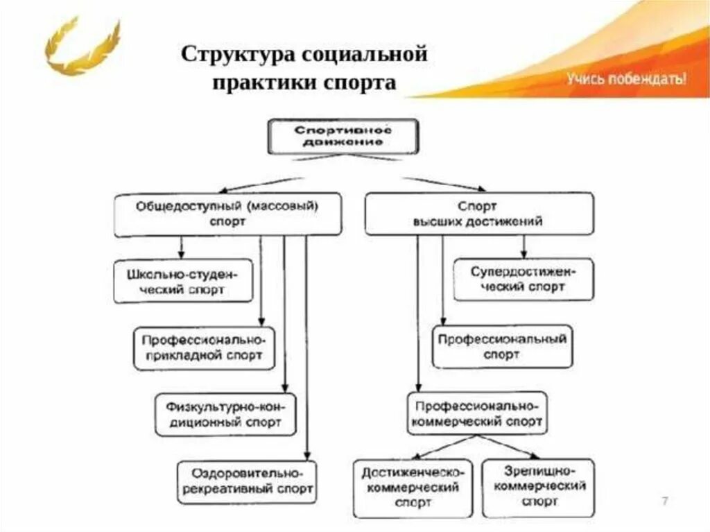 Организационная структура спортивной организации схема. Таблица организационная структура спортивной подготовки. Структура социальной практики спорта. Структура Спарты.