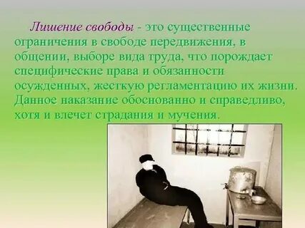 Возмещение убытков лишение свободы на определенный срок