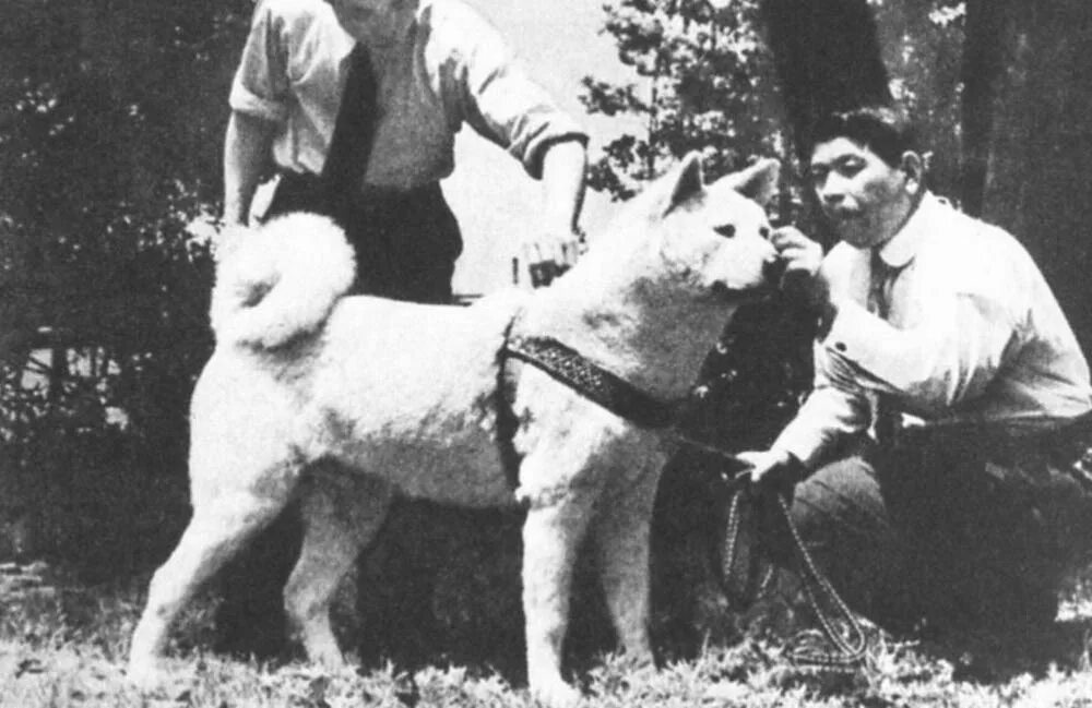 Хидэсабуро Уэно. Хатико 1934. Хидэсабуро Уэно и Хатико. 1934 Hachiko.