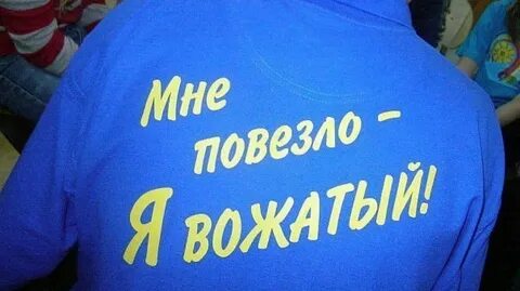 Вожатый это