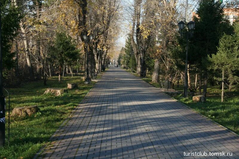 Город рубцовск аллея славы. Аллея гарибальди аллея. Проспект испытателей (санкт-петербург). Лето лианозовский парк. Где аллея испытателей.