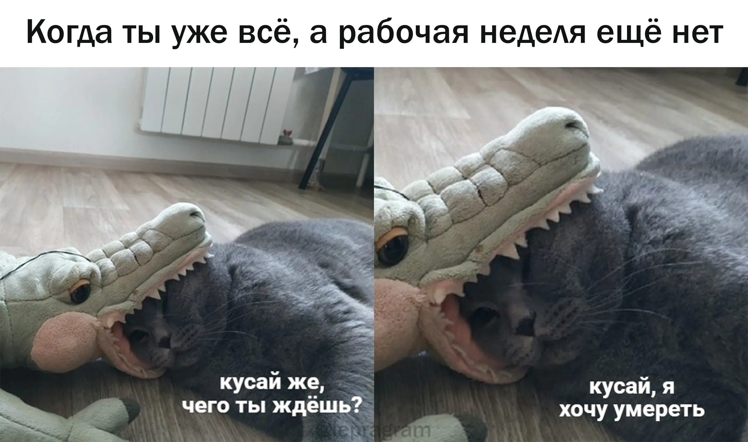 В неделю а тем у