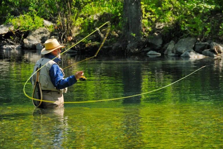 How to fishing