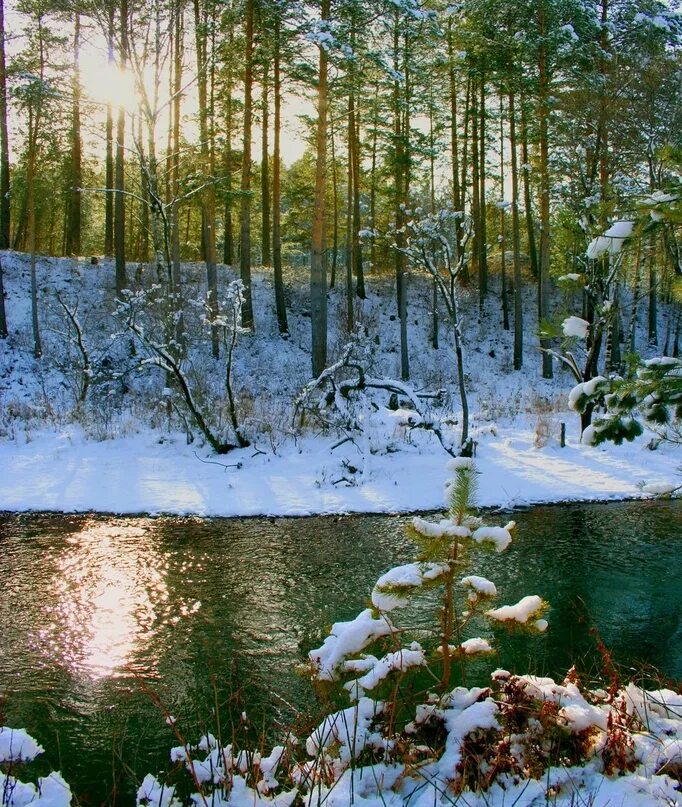 Вся природа чувствует приближение зимы