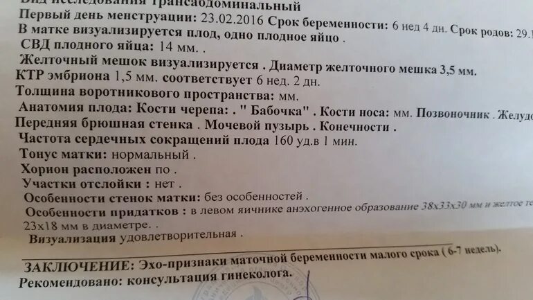 На 1 2 недели почему. Беременность малого срока по УЗИ. По УЗИ срок меньше чем по месячным. 2 Срока беременности акушерский и по УЗИ. Малый срок беременности 1-2 недели по УЗИ.