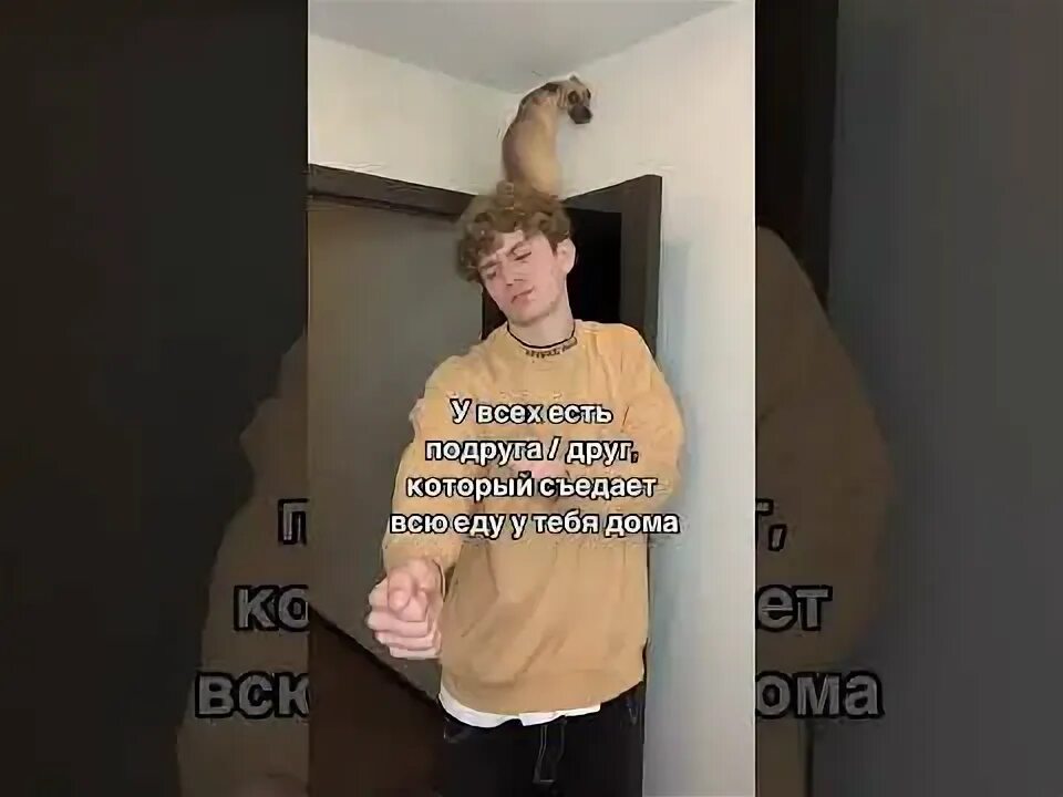 Рамзан кадыров мем. Эрон дон дон подними свой телефон. Э рон дон дон мем. Дон эрон дон дон. Эрон дон дон подними свой телефон.