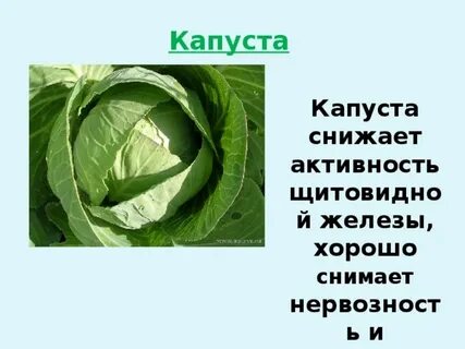 Капуста здоровье
