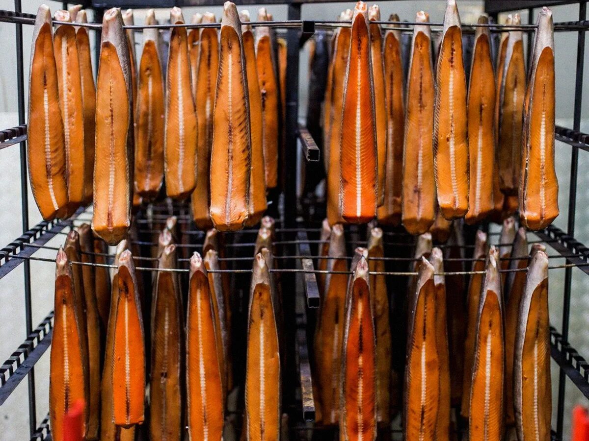 рыба вяленая копченая. полугорячее копчение толстолобика. хранение рыбы холодного копчения.