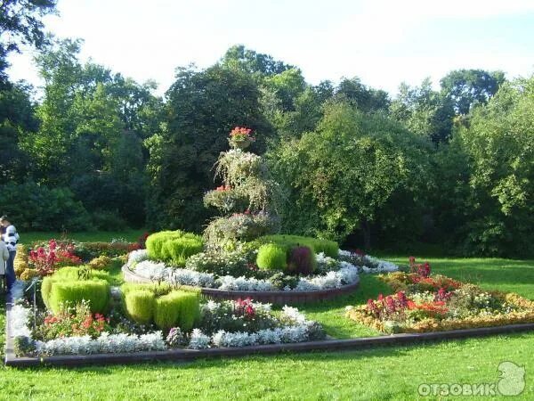 Сад люблино. Кузьминка островки. Кузьминки лесопарк что за мигающие цветы установили на горе.