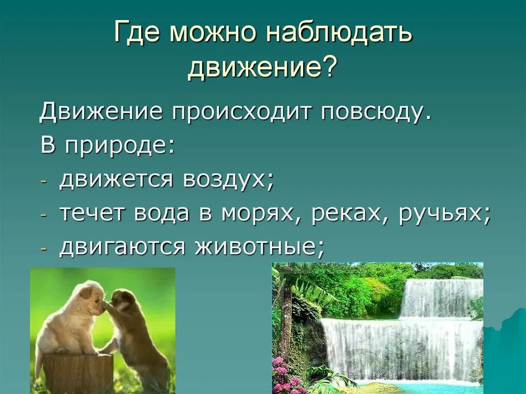 Движение в живой природе. Движение живых организмов. Движение живой природы примеры. Виды движения в природе