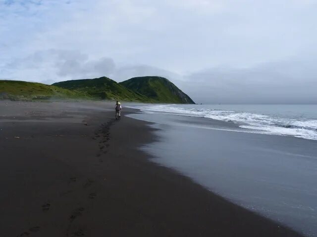 дальневосточный морской заповедник полуостров гамова. мыс желтый. остров уташуд. мыс шипунский камчатка. мыс скалистый камчатка.