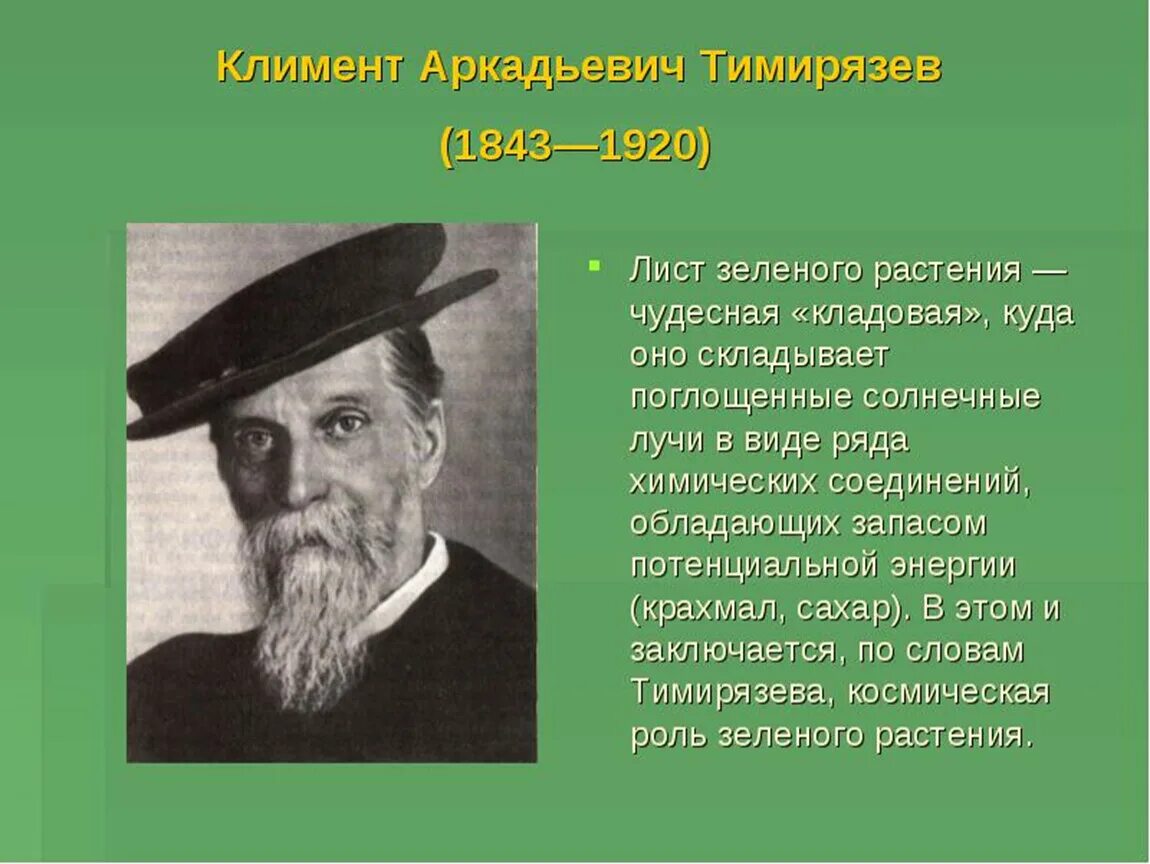 Космическая роль растений в природе. Фотосинтез космическая роль растений. Тимирязев. Космическая роль фотосинтеза. Тимирязев ученый.