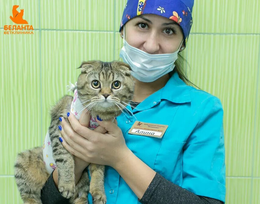 Belanta vet. Ветеринар с собакой. Belanta vet. Беланта ветклиника щербинка. Belanta vet.