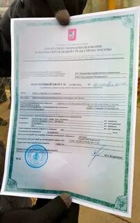 Срок порубочного билета