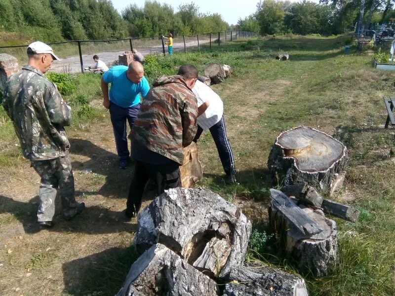 Погода в творишино на неделю брянская. Творишино гордеевский район брянская область. Творишино гордеевский район брянская область. Творишино брянская область. Творишино гордеевский район брянская область.