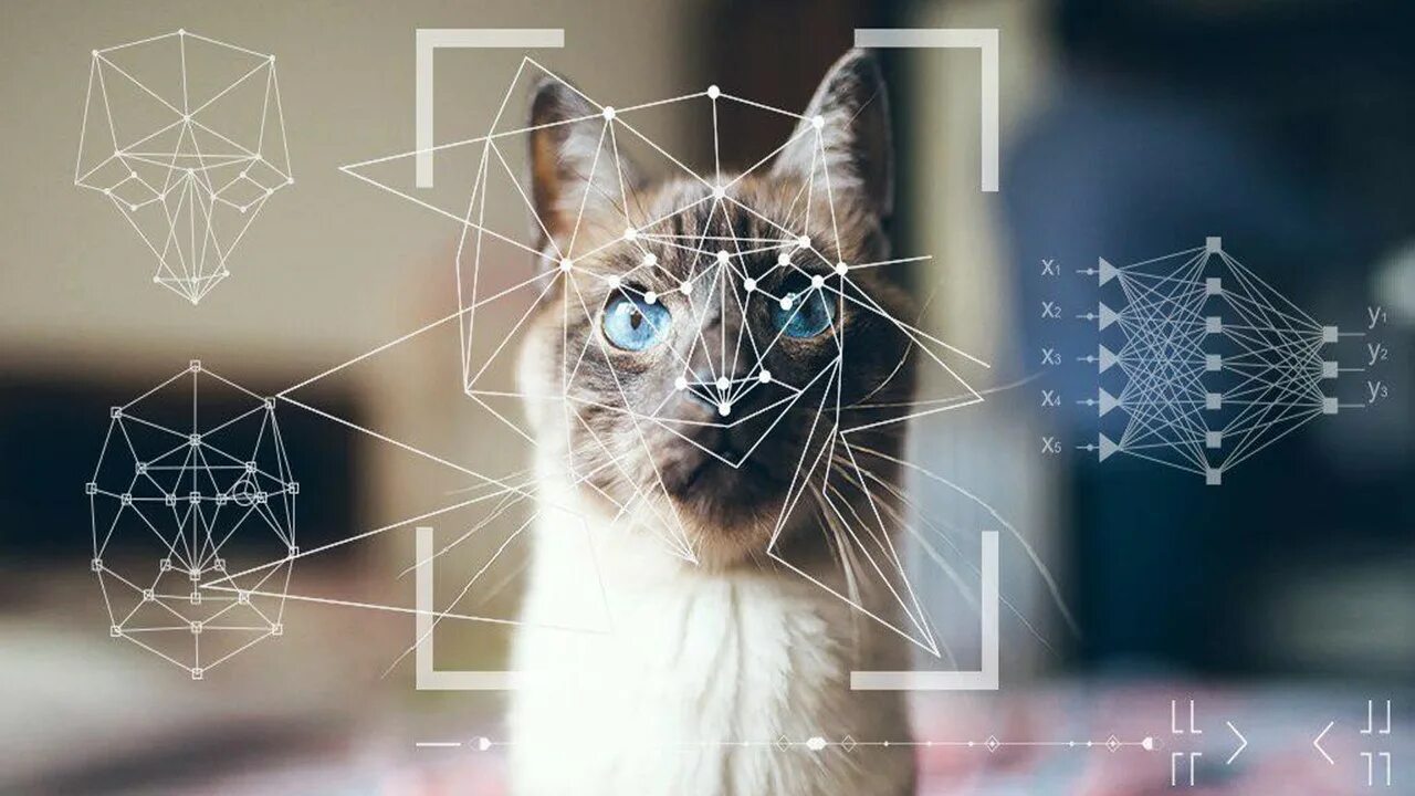 Neural search