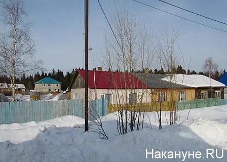П ярки