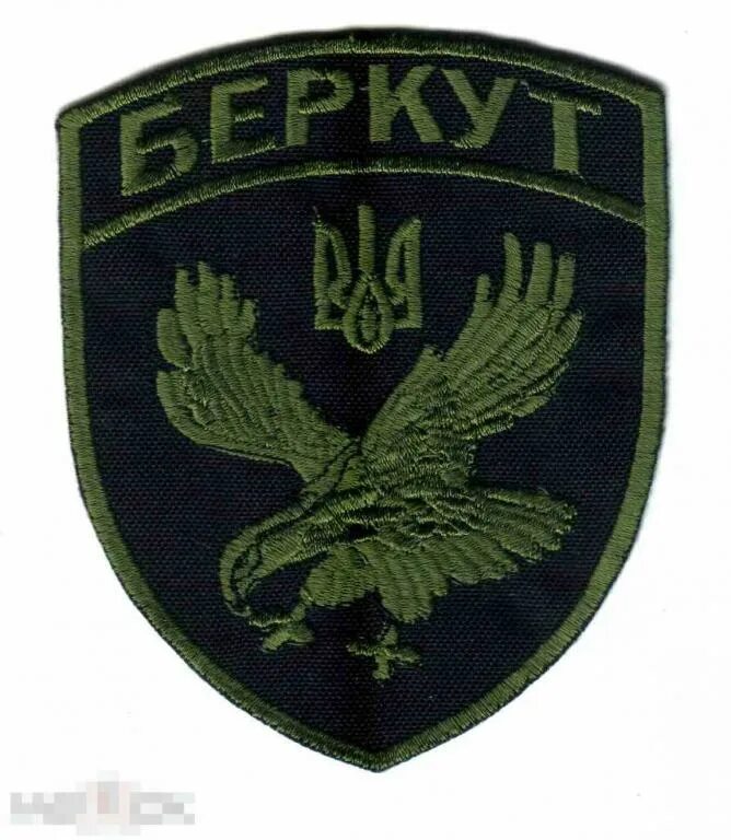 Беркут крым шеврон. Шеврон беркут лнр. Шеврон беркут украина. Шевроны беркуты. Крымский беркут шеврон.