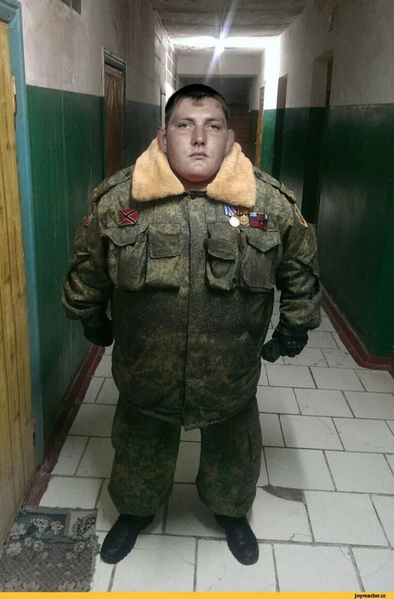 Военные глупы. Толстый человек в военной форме. Толстяк в военной форме. Смешная Военная форма. Российский солдат толстый.