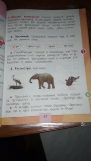 Белка какие звуки в слове