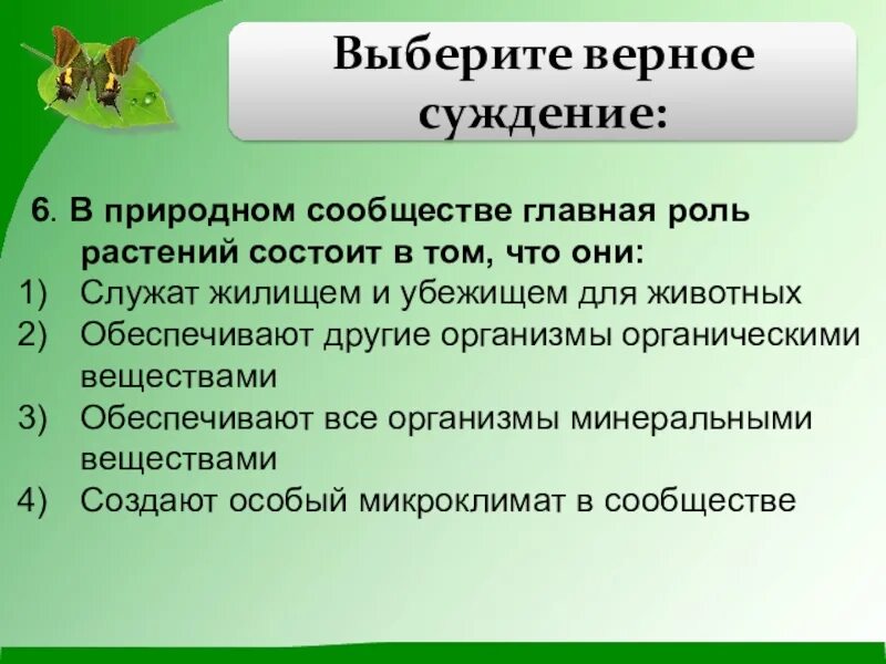 Роль растений в природном сообществе. Роли в природном сообществе. Функции животных в природных сообществах. Какова роль растений в природных сообществах. Ведущая роль растений в природном сообществе заключается