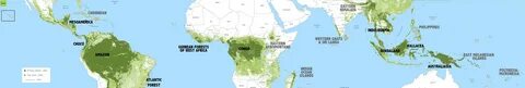 Were are the forests