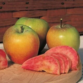 Some apples