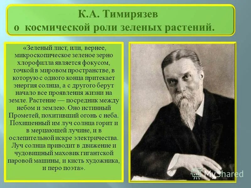 Сообщение о тимирязеве. Тимирязев к. (1843-1920). Сообщение о тимирязеве. Сообщение о тимирязеве.