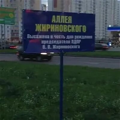День памяти жириновского. Аллея жириновского воронеж где. Аллея памяти в парке победы ставрополь. Аллея жириновского воронеж где. Аллея жириновского курск фото.