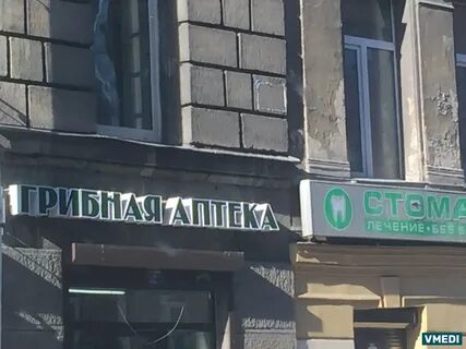 Грибная аптека