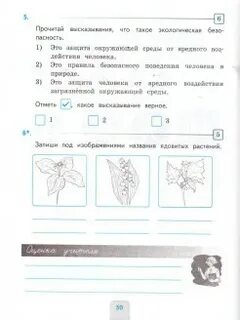 Окружающий мир 3 класс экзамен
