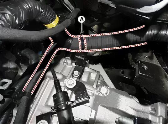Как проверить уровень масла в коробке автомат хендай солярис фото - AveMoto.ru