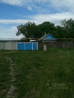 Рп5 бесскорбная